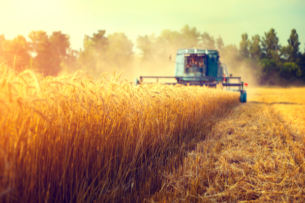 You are currently viewing Recours au comité de règlement des différends commerciaux agricoles : obligatoire ?