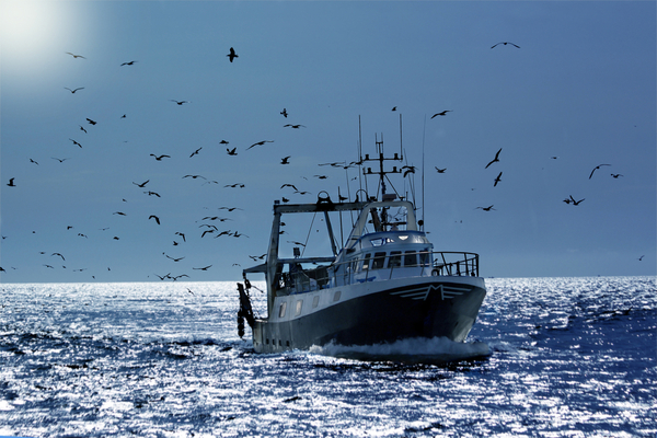 You are currently viewing Flotte de pêche : du nouveau concernant l’obtention du permis de mise en exploitation