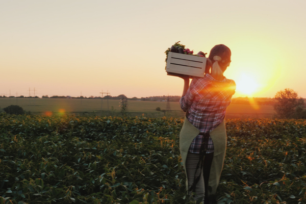 You are currently viewing Intempéries : quel(s) soutien(s) pour le secteur agricole ?