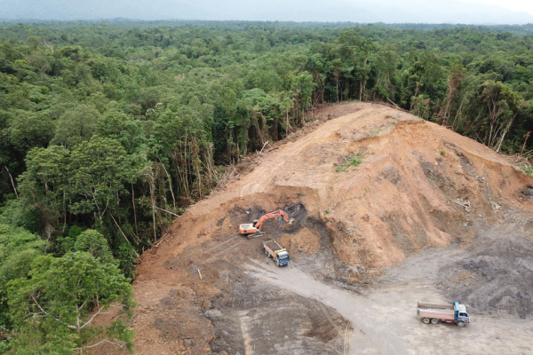 You are currently viewing Vers des produits interdits d’importation pour lutter contre la déforestation ?