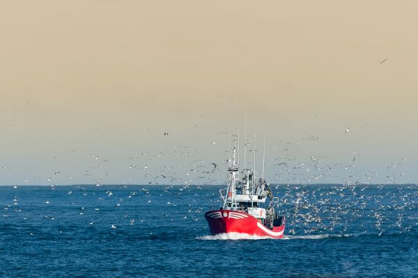 You are currently viewing Pêche en Méditerranée : publication des quotas d’effort de pêche pour 2023