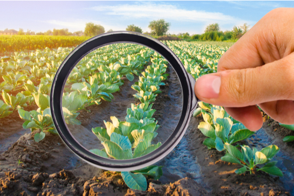 You are currently viewing Plan de soutien aux industries agroalimentaires : que contient-il ?